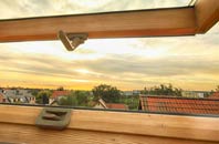 rated Lower Swell roof window companies
